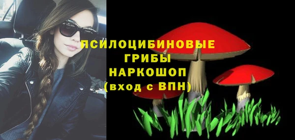 Альфа ПВП Ельня