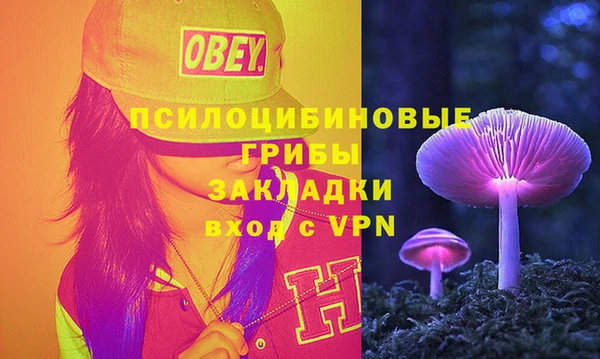 Альфа ПВП Ельня