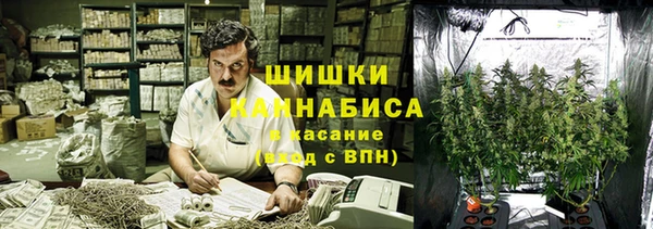 бошки Елабуга