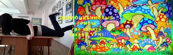экстази Болотное