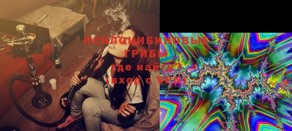 бошки Елабуга