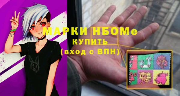 бошки Елабуга